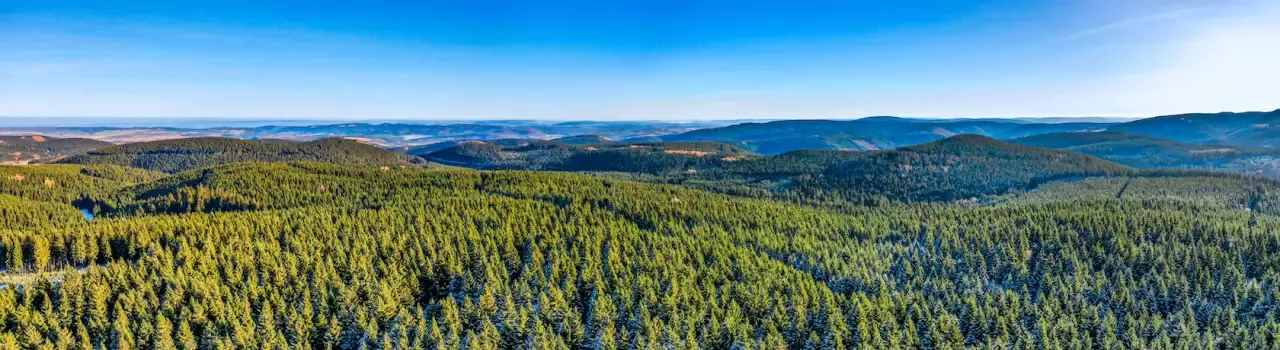 Thüringer Wald