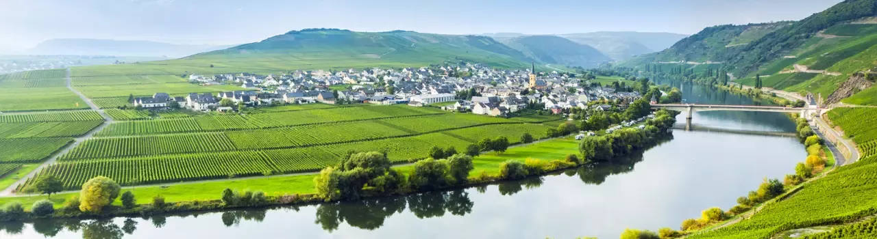 Mosel