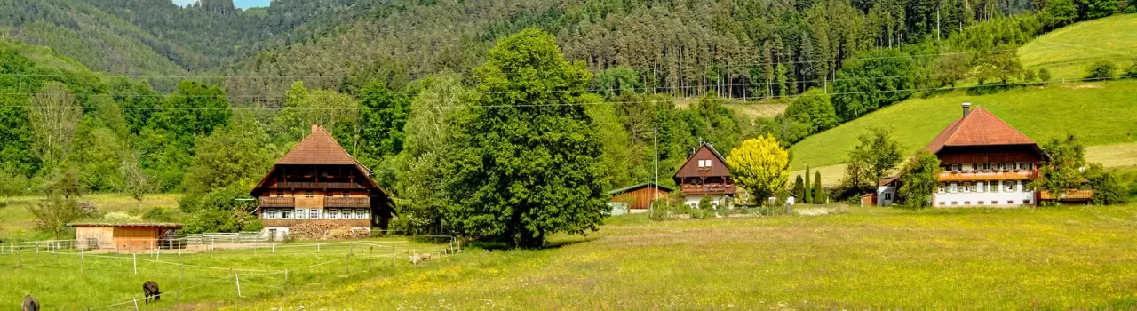 Bad Dürrheim