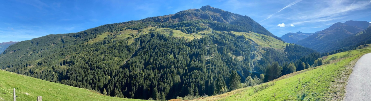 Fügen