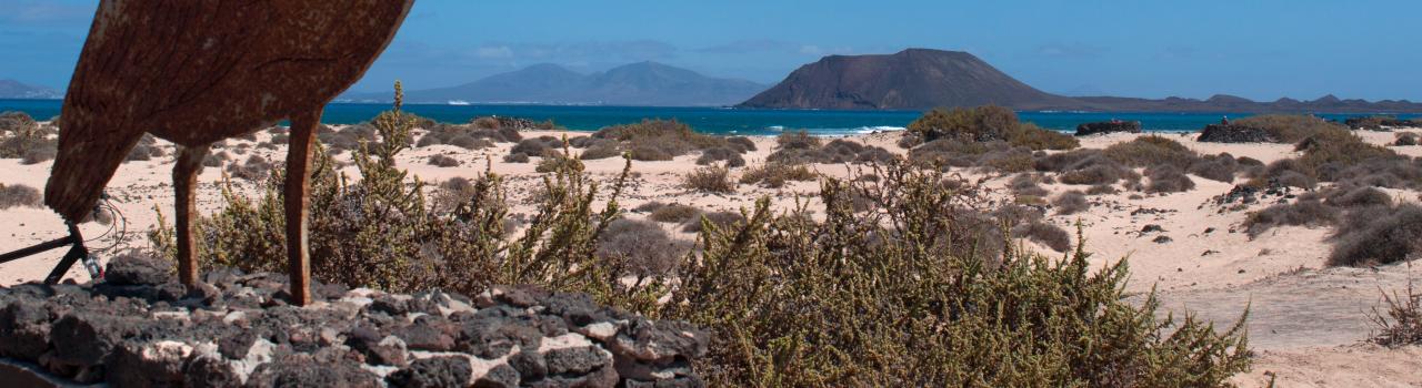 Parque Natural de Corralejo