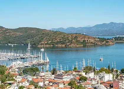 Calis