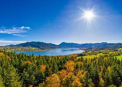 Bayerischer Wald