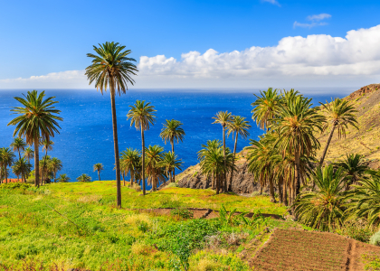 La Gomera
