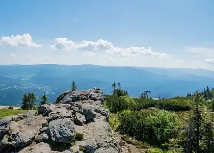 Bayerischer Wald