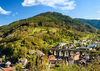 Schwarzwald