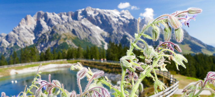 Salzburger Land - Klima und Reisezeit