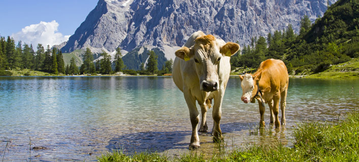 Österreich - Naturschauspiele