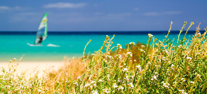 Costa Calma - Tipps nach Reisetyp