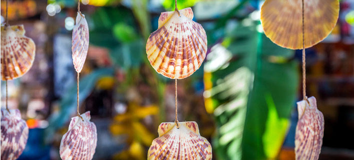 Punta Cana - Fakten in Kürze